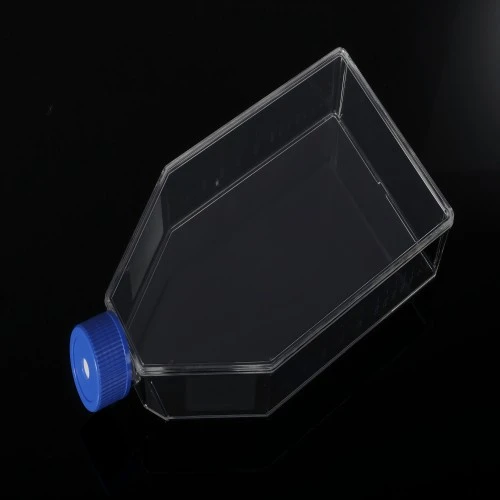 Cell Culture Flasks