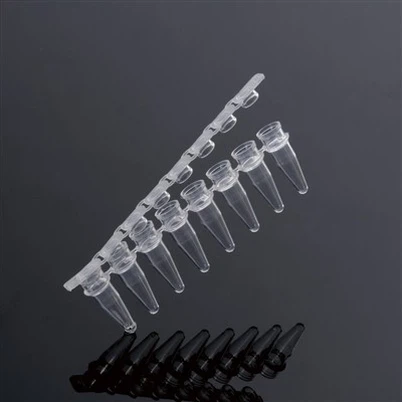 PCR لوله PCR