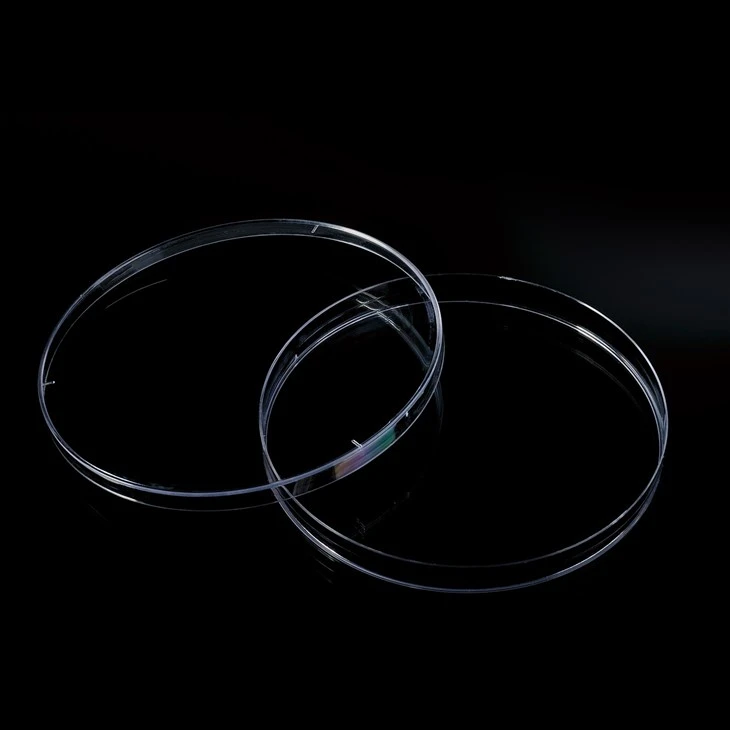Transparent Petri Dish With Vented Lid