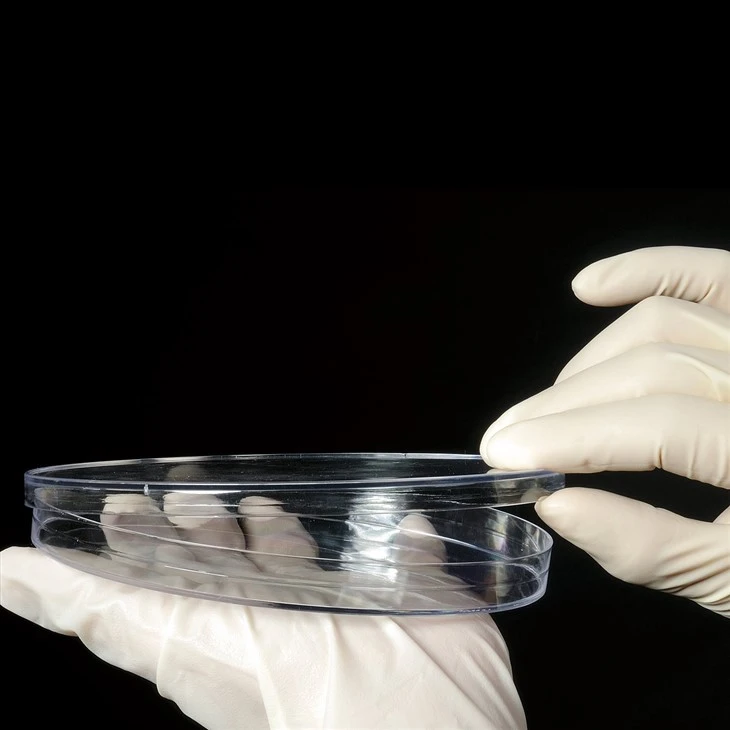 Transparent Petri Dish With Vented Lid